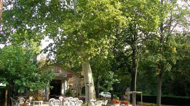 Chateau De Saint Michel De Lanes Restoran gambar
